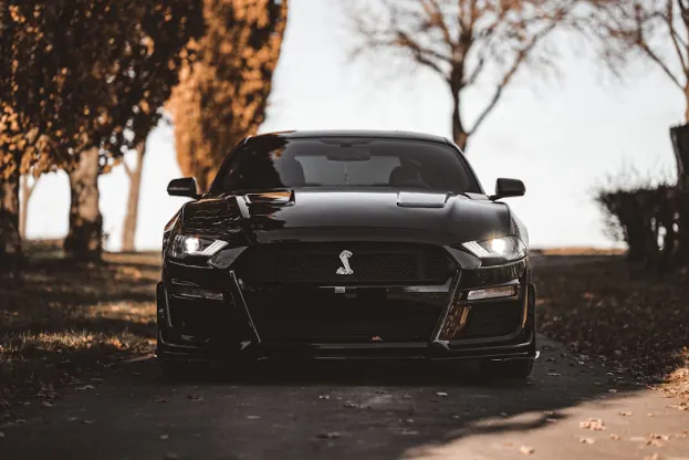 ריפר קזינו אפליקציית Android/iOS